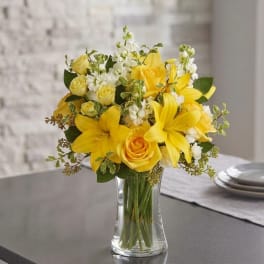 Sunlit Blooms