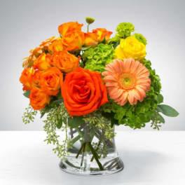 New Beginnings by BloomNation™