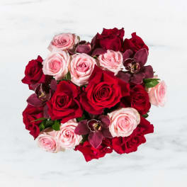 Truly Adored by BloomNation™