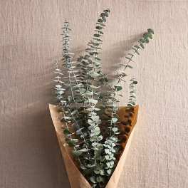 Eucalyptus Bouquet