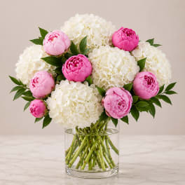 Blush Peony and White Hydrangea Arrangement