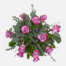 1 Dozen Purple Roses in a Bouquet