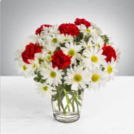 Bouquet of red carnations and white daisies in a clear glass vase