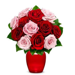 Red and pink roses arranged in a red vase