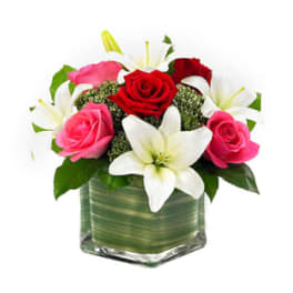 Compact arrangement of pink and red roses with white lilies in a green-lined glass cube vase