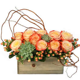Peach roses and succulents arranged in a wooden box