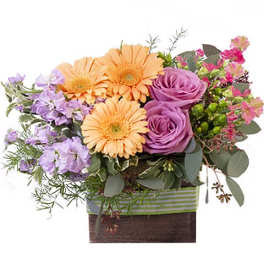 Mixed bouquet with peach gerberas, purple roses, and lavender flowers in a striped box