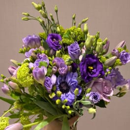 BP91 - Purple-licious