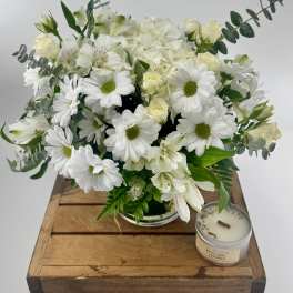 White Wonderland (DB)