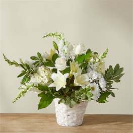 Ivory Elegance (DB)