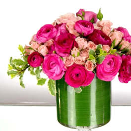 Pink Passion (DB)