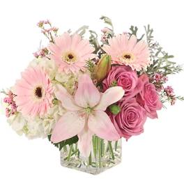 Pink gerbera daisies and roses in a clear glass vase