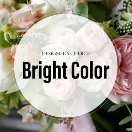 Pink and white roses with greenery behind a "Bright Color" label