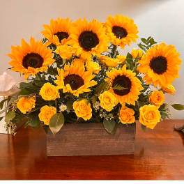 Sunflower and yellow rose arrangement in a rectangular wooden box