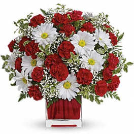 Red carnations and white daisies in a clear square vase