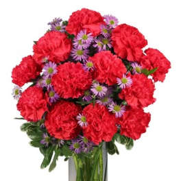 Red carnations and purple daisies in a clear glass vase