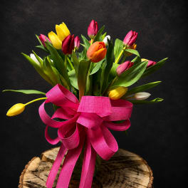 Tiptoe Through The Tulips