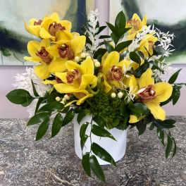 Orchid & Vine Verdant