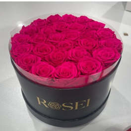 Round box of bright pink roses with a clear lid