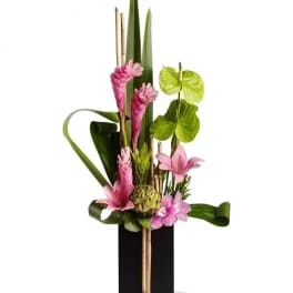 Pink tropical flowers arranged in a tall black vase