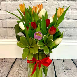 Bouquet of multicolored tulips in a clear glass vase with a red ribbon