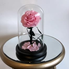 Light Pink Rose Dome Globe