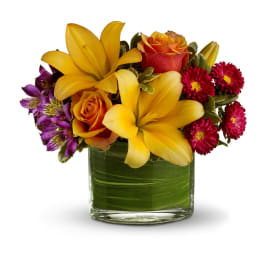 Teleflora's Blossoms of Joy