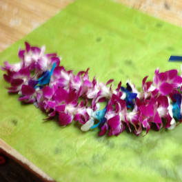 Purple and white orchid lei with blue ribbon accents on green paper