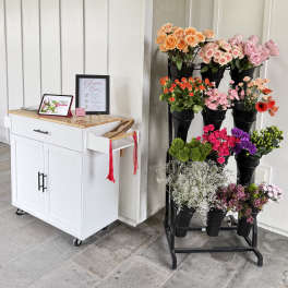 Bloom Bar