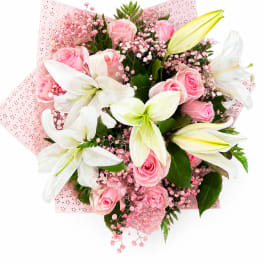 Sweet Lily Blush