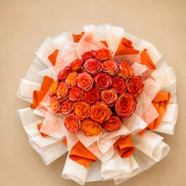 Tangerine Kiss
