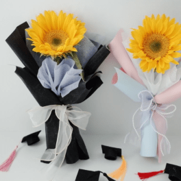 Graduation Glow — Sunflower Edition set