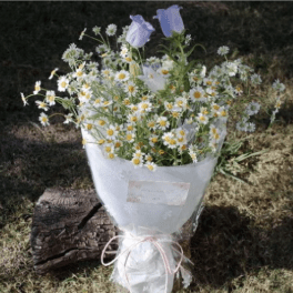 Cup of Sunshine – Daisy & Bellflower Bouquet
