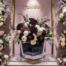 Purple Shade