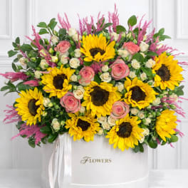 Sunflowers and pink roses arranged in a white hat box with a ribbon