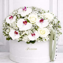 White roses and orchids arranged in a round white box with a ribbon