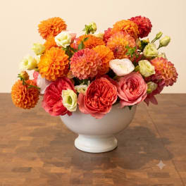 BP130 - Sweet Tangerine Dream