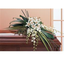 White orchid arrangement on a casket with long green leaves