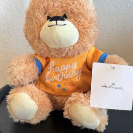 Plush teddy bear wearing a birthday shirt and party hat