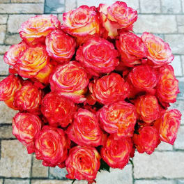 Bouquet of red and yellow roses