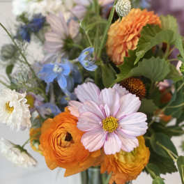 Mixed bouquet with orange, pink, blue, and white flowers