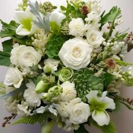 White & Greens