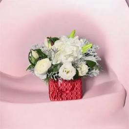 Luxury Purse Inspired By Dior
