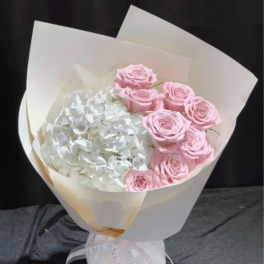 Blushing Cloud Roses