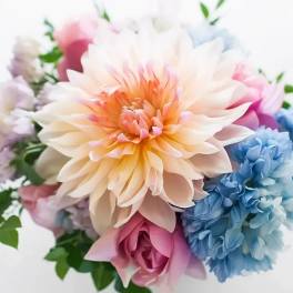 Designer's Choice Spring