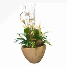 Cream Planter
