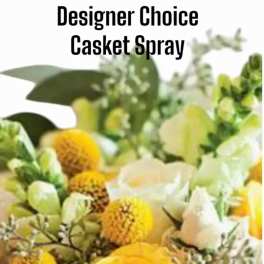 Designers choice cast Spray times X