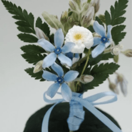 Small boutonniere with blue and white flowers and a light blue ribbon