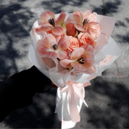 Peach Cloud Kiss