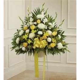 Tribute 203